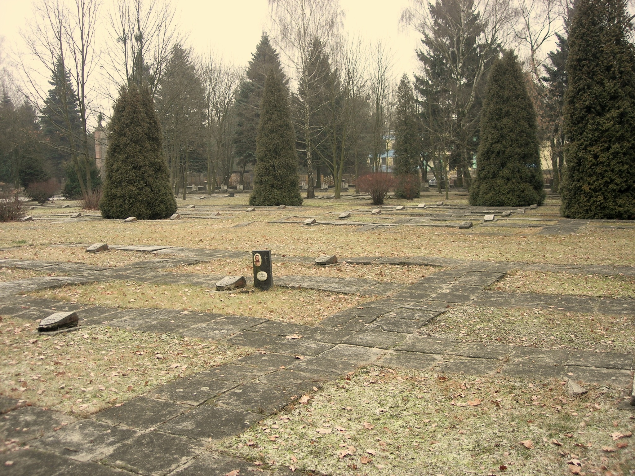 Воинское кладбище в Остроленке